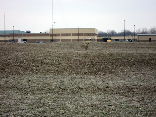 Property photo 4 - 66 Acres Offered in 3 Tracts